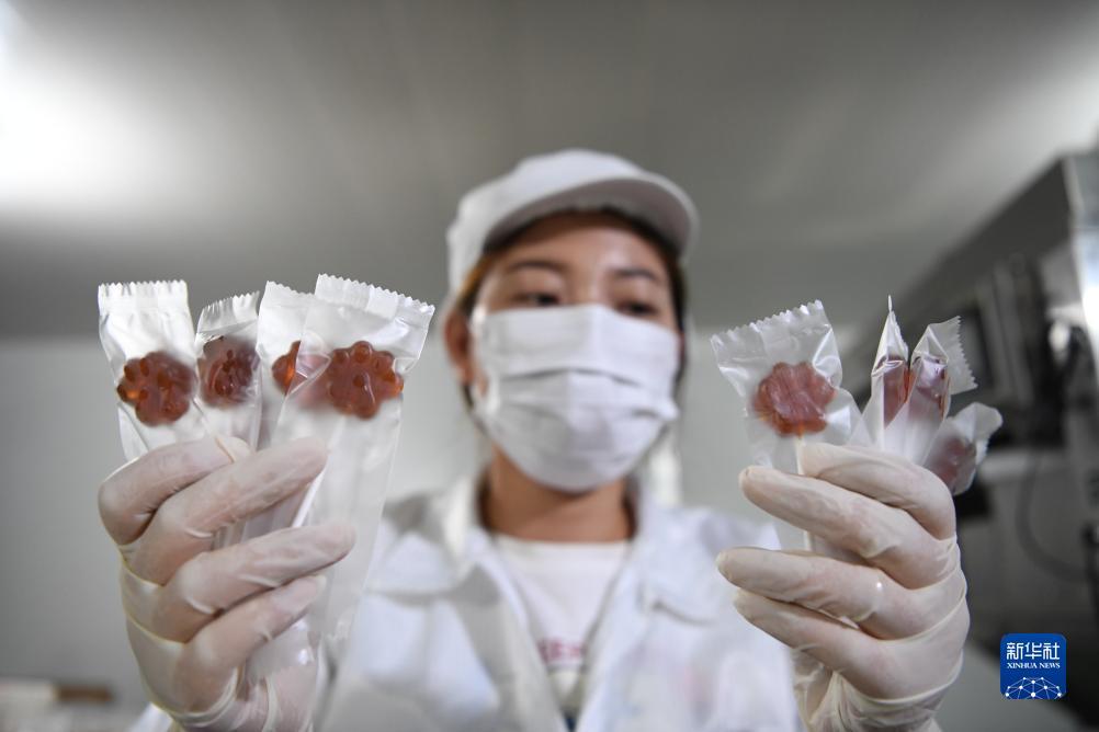 乐游棋牌官网